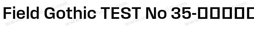 Field Gothic TEST No 35字体转换